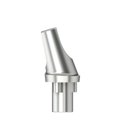 Standardabutm angl16°Type1RP4