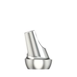 Standardabutm angl16°Type1WP5