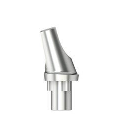 Standardabutm angl16°Type2RP4