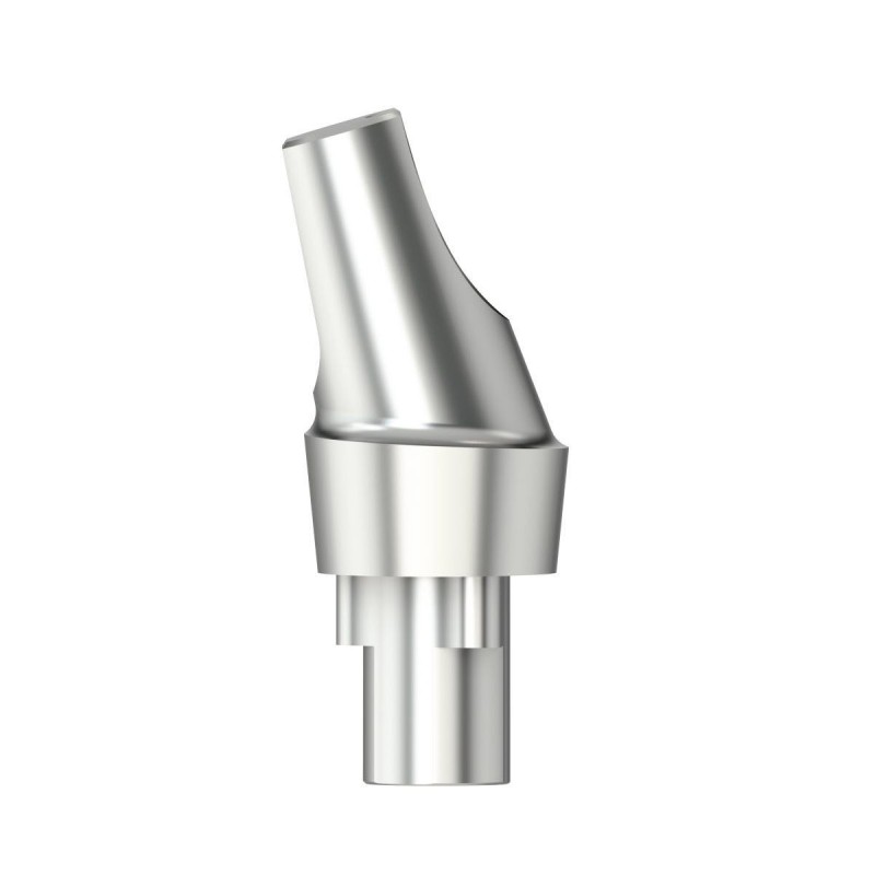 Standardabutm angl16°Type2RP4