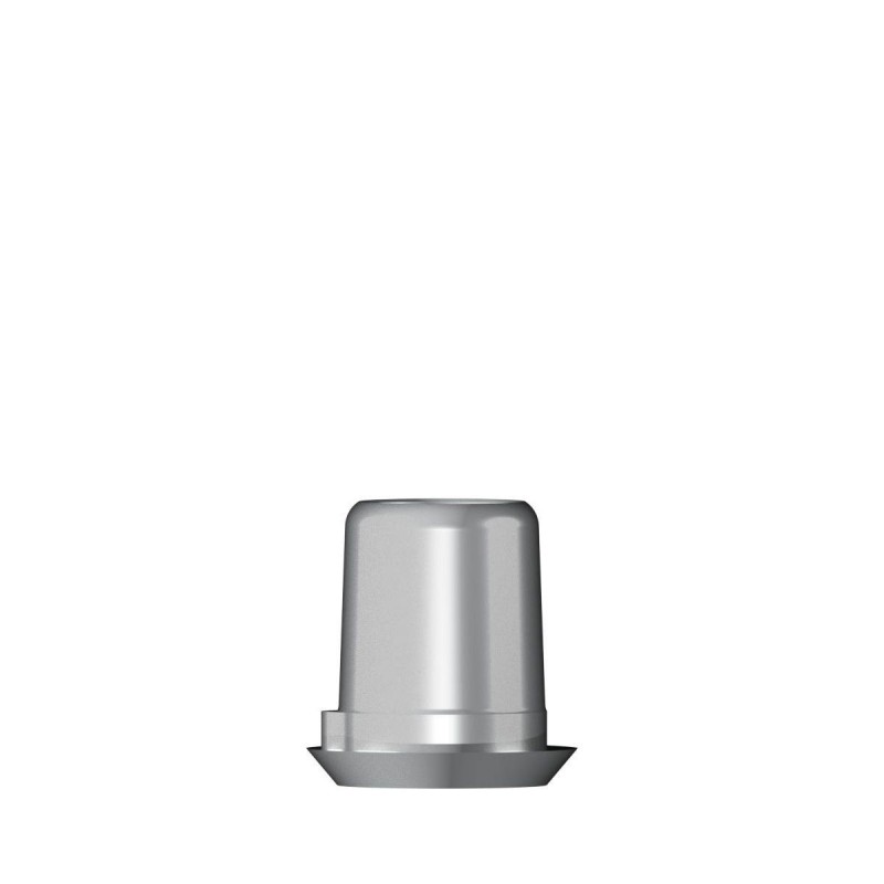 Ti base Zirconium abutment D 3