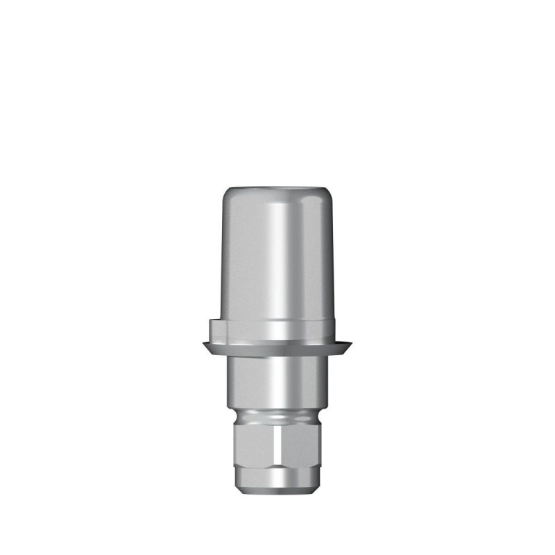 Ti base Zirconium abutment D 3
