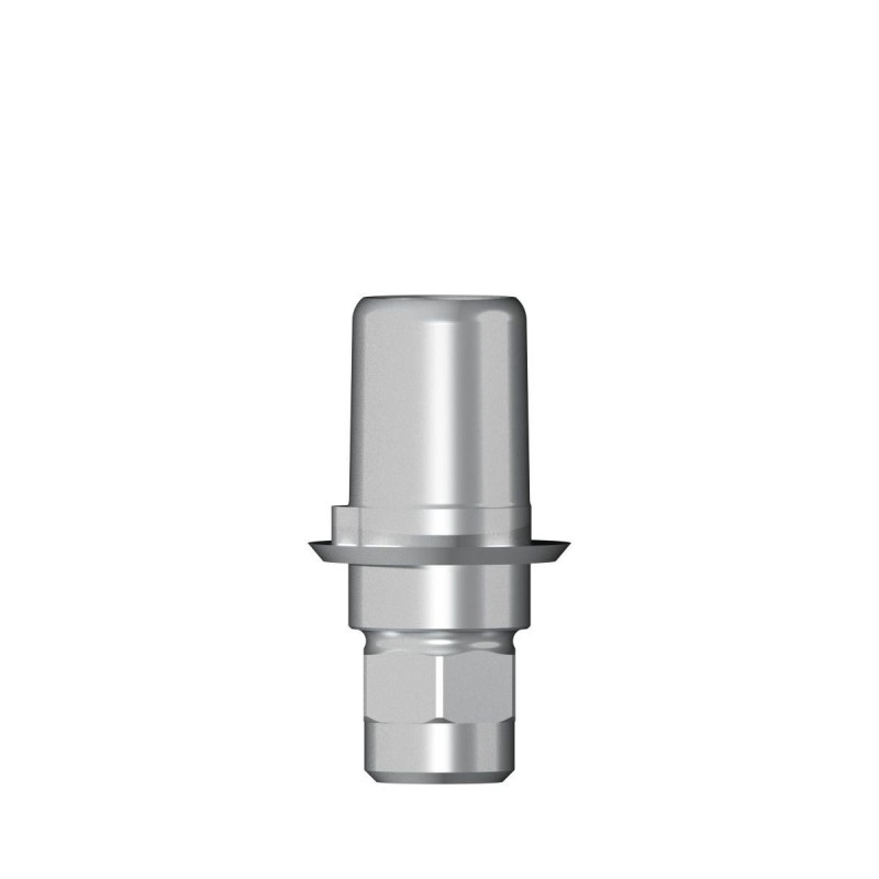 Ti base Zirconium abutment D 3
