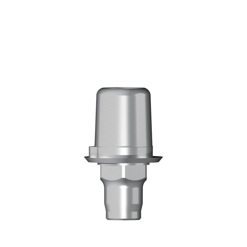 Ti base Zirconium abutment D 4