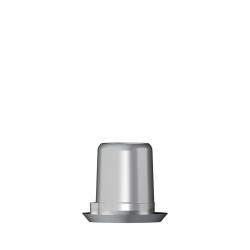 Ti base Zirconium abutment D 4