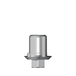 Ti base Zirconium abutment D 4