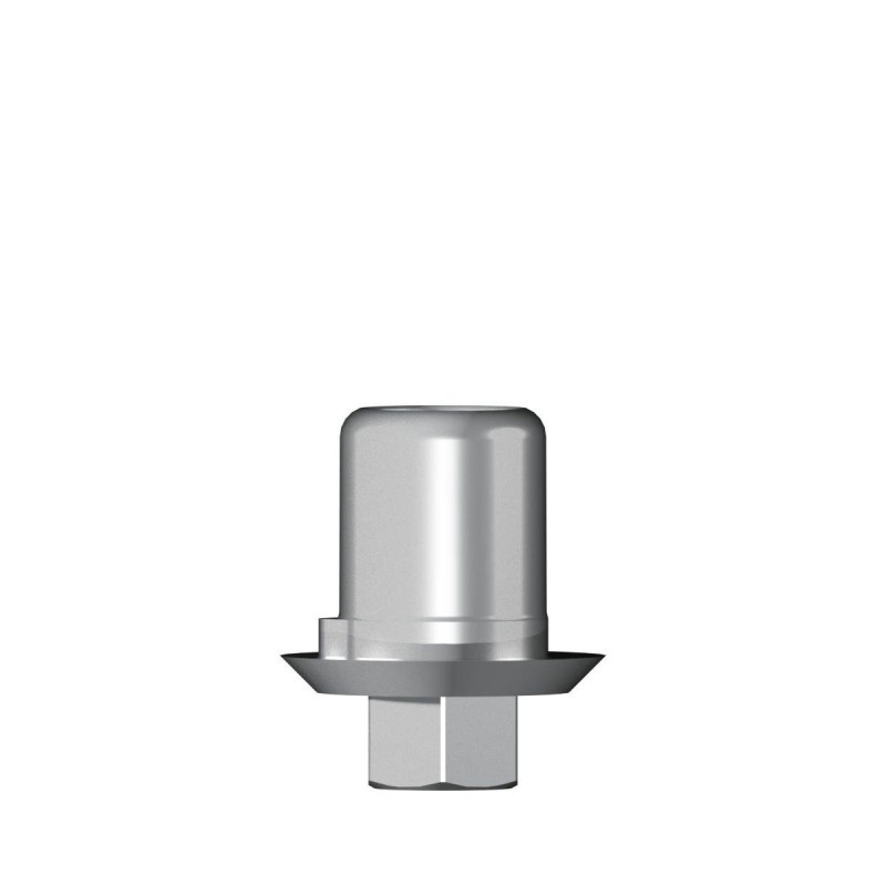 Ti base Zirconium abutment D 4