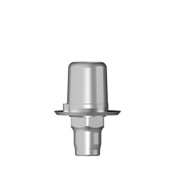 Ti base Zirconium abutment D 5
