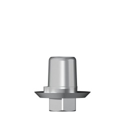 Ti base Zirconium abutment D 5