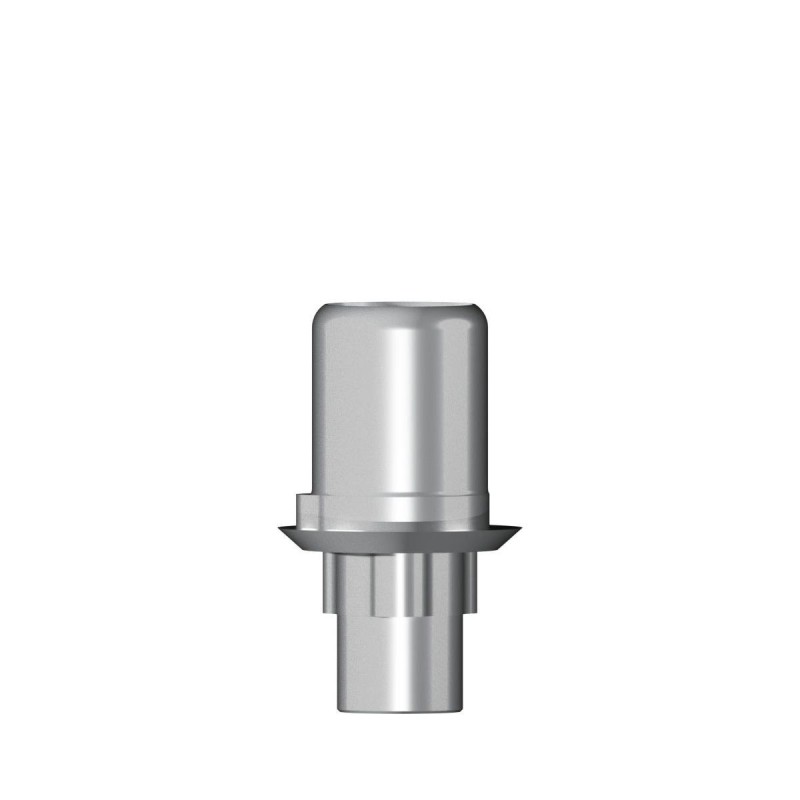 Ti base Zirconium abutment NP 3