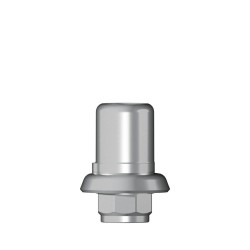 Ti base Zirconium abutment RN 4
