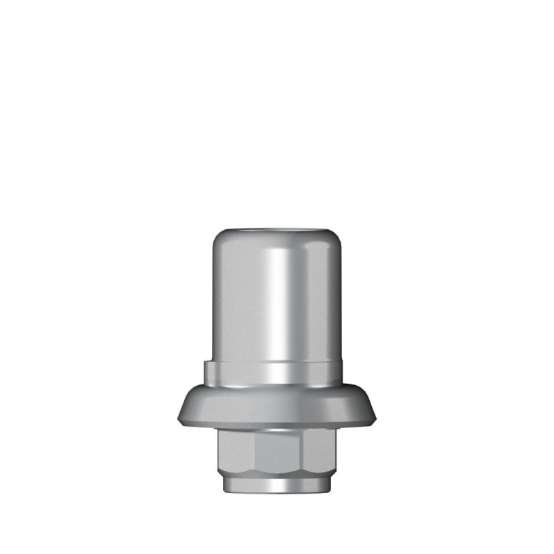 Ti base Zirconium abutment RN 4