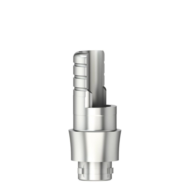 Ti-base ASC Flex SP GH 2