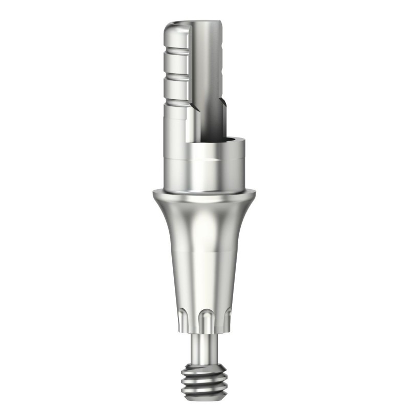 Ti-Base ASCFlex Type1/SF /X 3